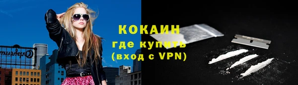 шишки Армянск