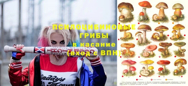 шишки Армянск