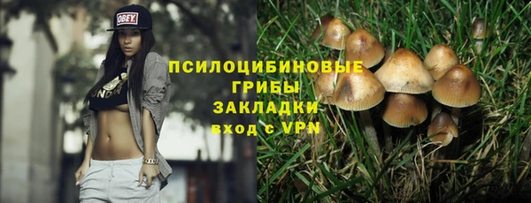 ГАЛЛЮЦИНОГЕННЫЕ ГРИБЫ Абинск