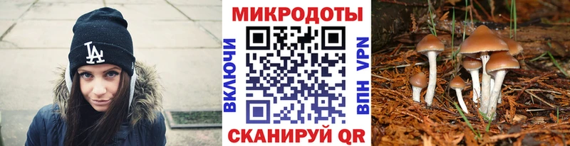 дарнет шоп  Усинск  Галлюциногенные грибы прущие грибы 